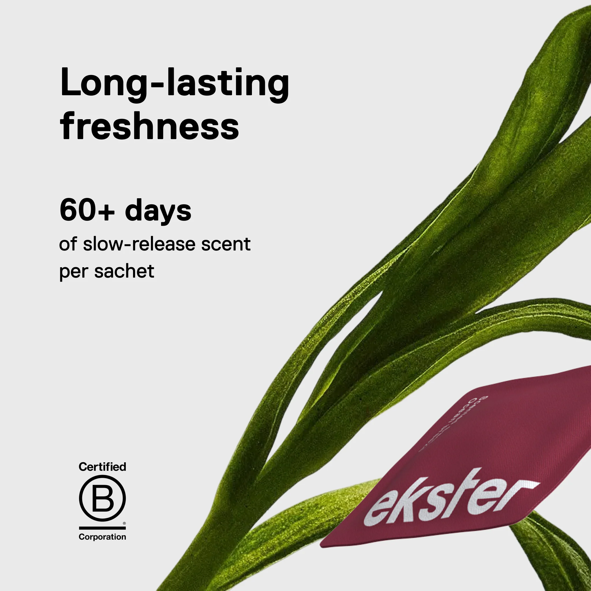 Scented Sachets - Image 35